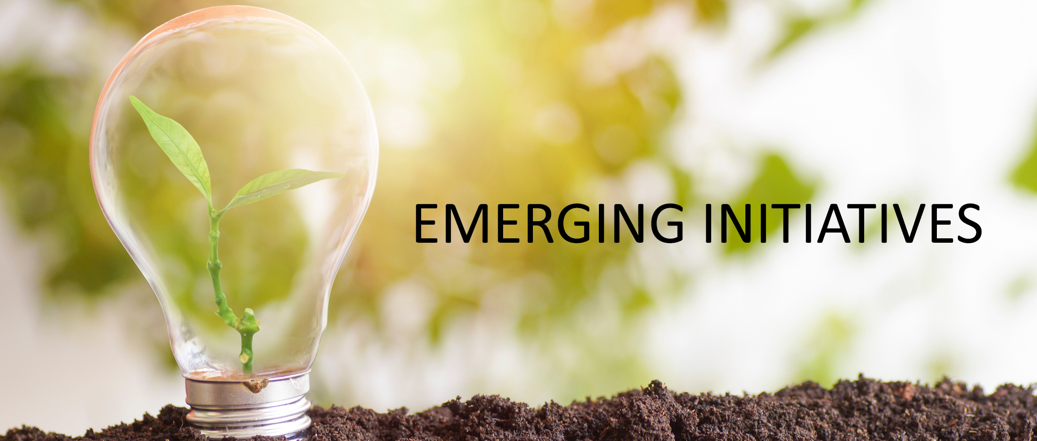 Emerging Intitatives